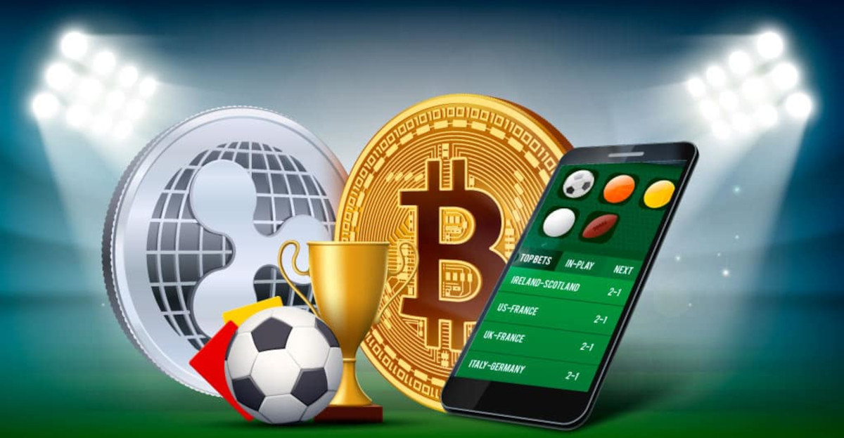 Explore the Exciting World Play in Crypto-Friendly Online Casinos Explore the Exciting World Play in Crypto-Friendly Online Casinos