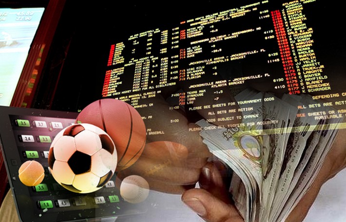 Exploring the World of Sports Betting A Guide to vitibet