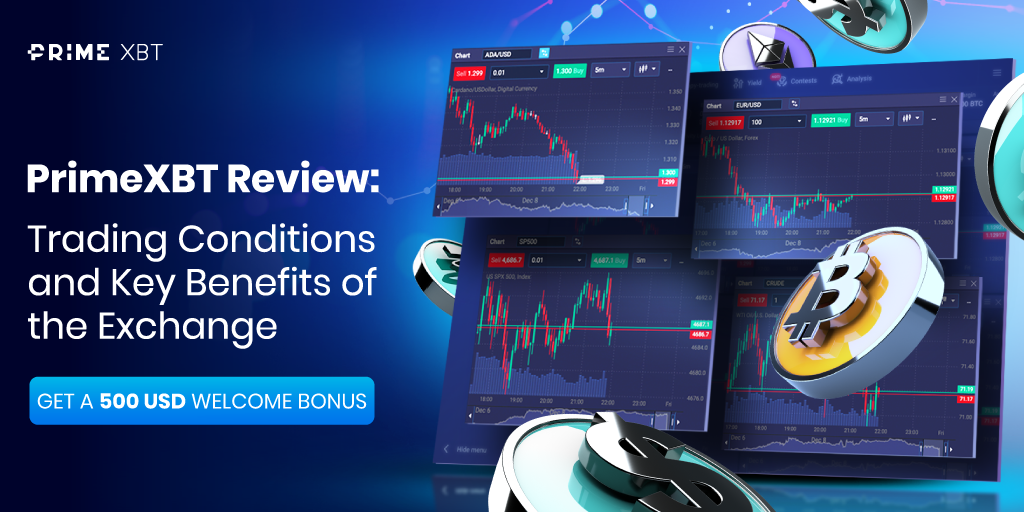 Understanding PrimeXBT Forex A Comprehensive Guide Understanding PrimeXBT Forex A Comprehensive Guide