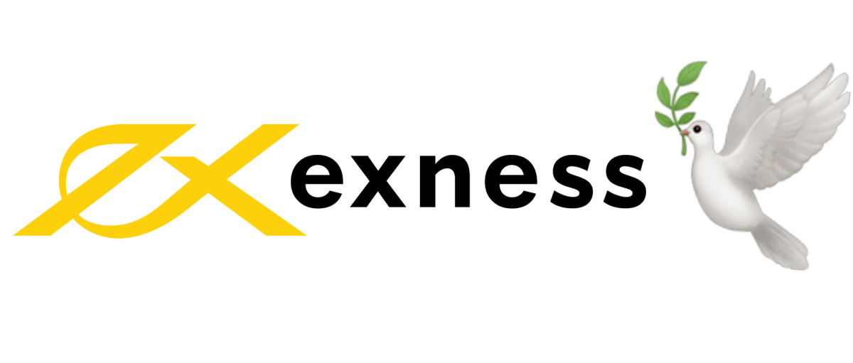 Best Exness Account Forex Finding Your Ideal Trading Experience