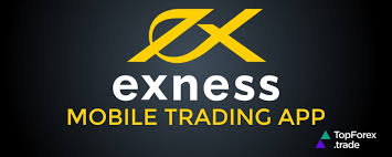 Best Exness Account Forex Finding Your Ideal Trading Experience