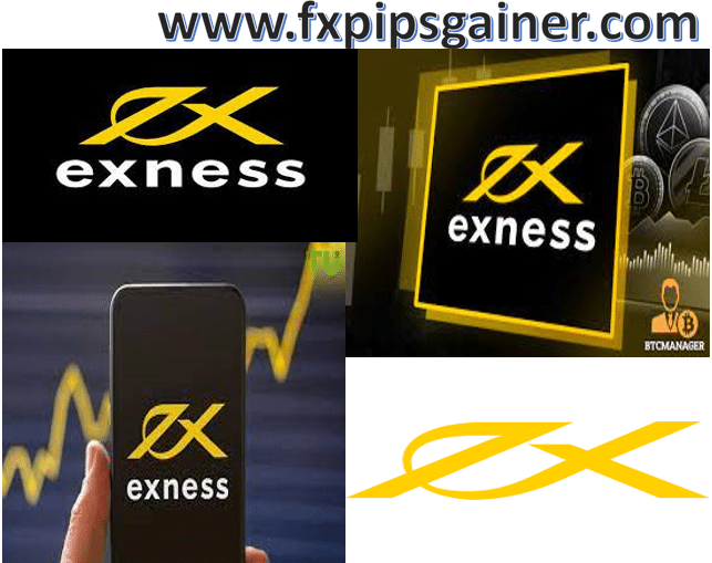 Understanding Exness Member Login for Easy Trading